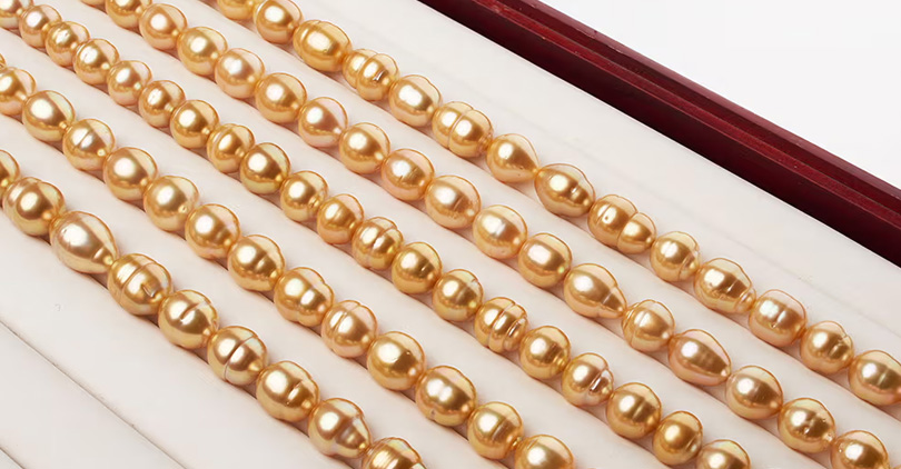 Brief Introduction to Golden Pearls